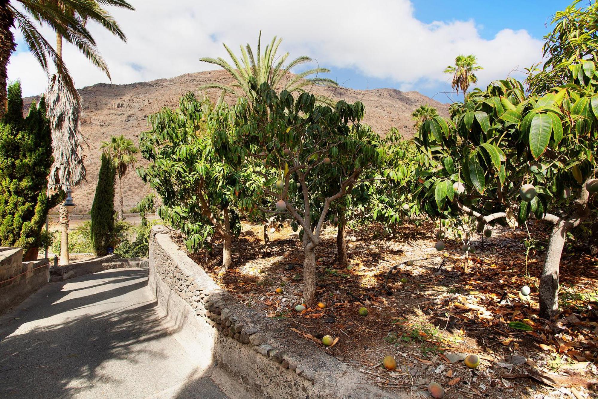 Casa Paraiso del Molinero Villa Mogán Esterno foto